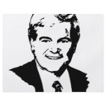 Newt Gingrich flyers