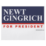 Newt Gingrich for President (2) flyers