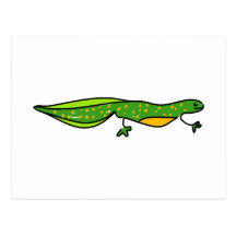 newt post cards