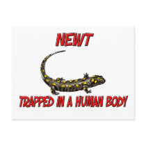 Newt trapped in a human body