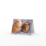 Newton and Skeeter Notecard