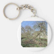 Newton's Tree at Woolsthorpe Manor Keychain