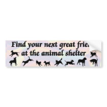 Next Great Friend Bumper Sticker