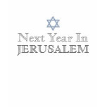 Next Year In Jerusalem t-shirts