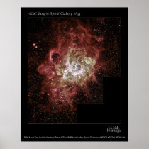 NGC 604