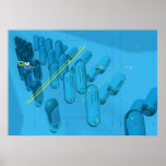 ni posters