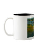 niagara falls mugs
