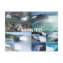 Niagara Falls postcard