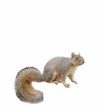 Nibbles the Fortune-Telling Squirrel Ornament photo sculptures