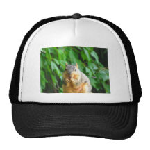 Nibbling Squirrel Trucker Hats