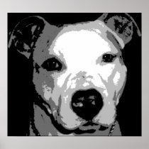 Nibs the Pit Bull Posters