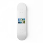 NICE COCONUT SKATEBOARD