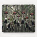 Nice Day For a Walk.... mousepads