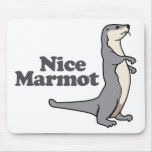 Nice Marmot ferret