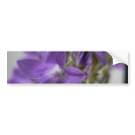 Nice Purple Flowers bumper stickers
