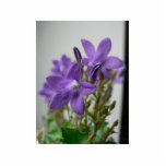 Nice Purple Flowers Photo Sculptures