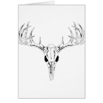 Nice Rack-Trophy Buck-Deer Rack