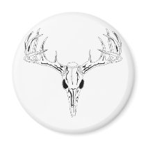 Nice Rack-Trophy Buck-Deer Rack