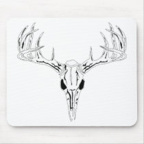 Nice Rack-Trophy Buck-Deer Rack
