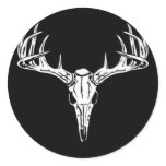 Nice Rack-Trophy Buck-Deer Rack