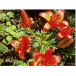Nice Red Flower Close Up Macro Image photo sculptures