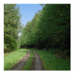 Nice scenic view of a pathway and trees. Custom photo sculptures