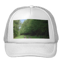 Nice scenic view of a pathway and trees. mesh hats
