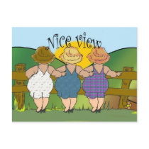 Nice view, sexy fat ladie's, humour postcard