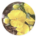 Nice Yellow Flower In Garden stickers
