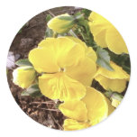 Nice Yellow Flower In Garden stickers