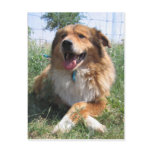 Nicholas Post Card