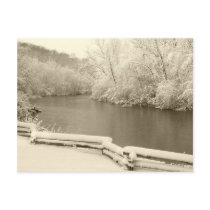Nichols Arboretum Postcard