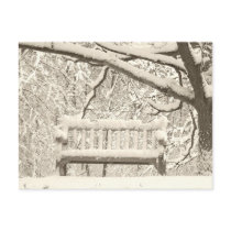 Nichols Arboretum Post Cards