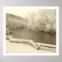 Nichols Arboretum Poster