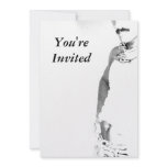 Nick Ghost, You'reInvited invitations