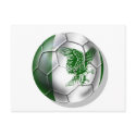 Nigeria Soccer T-shirts postcards