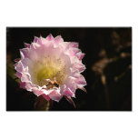 Night Bloom and Bee Art Photo