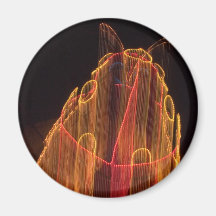 Night Bug Magnet