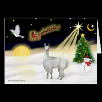Night Flight - Llama 12 cards