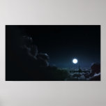 Night Flight