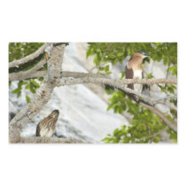 Night Heron (2) Stickers