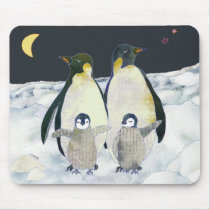 Night in the Antarctic