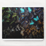 NIGHT OF 1000 BUTTERFLIES mousepads