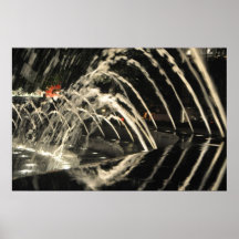 Night Reflections Print