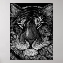 night tiger b w1 print
