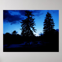 Night Time in Ocean Park Poster