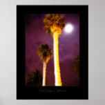 Night Time in San Diego Print