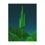 Night Vision Cactus Postcards