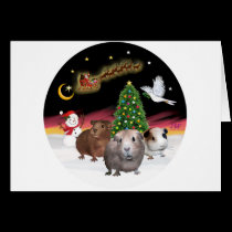 NightFlight - 3 Guinea Pigs cards
