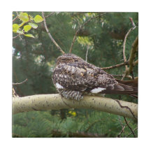 Nighthawk Tile